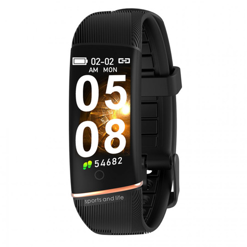 SW006A smarty
